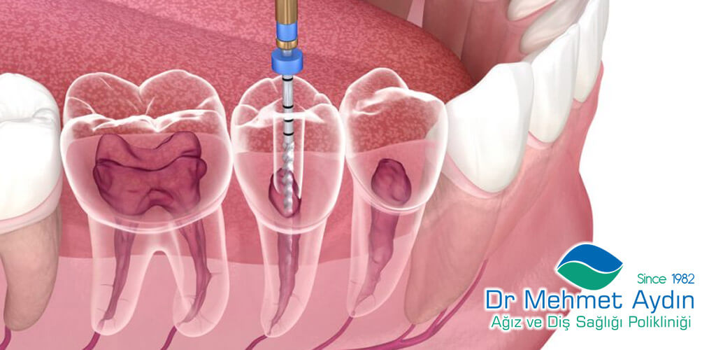 Dr Mehmet Aydın Ağız ve Diş Sağlığı Polikliniği Refaranslarımız